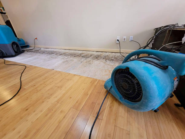 Professional Water Damage Repair technician working in Des Moines, WA